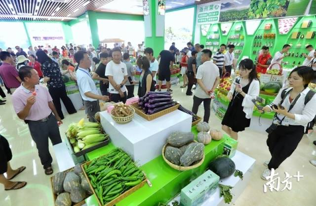 連州土壤硒含量豐富，富硒農(nóng)特產(chǎn)品吸引了眾人關(guān)注的目光。梁素雅 攝
