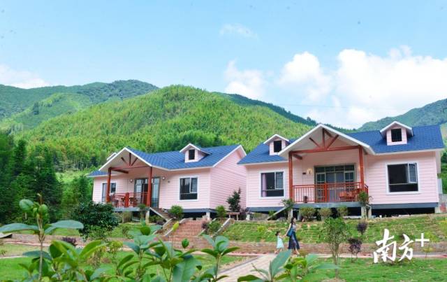 特色民宿。黃津 攝