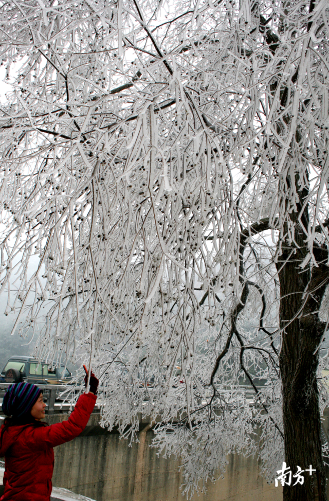 今冬的首場(chǎng)寒潮將于12月29日下午襲擊連州，最冷零下5度，提醒群眾做好御寒準(zhǔn)備。黃津 攝