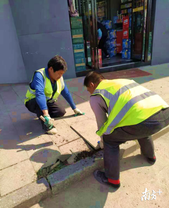 對北山路、南門大道等地段損壞路面進(jìn)行修復(fù)。