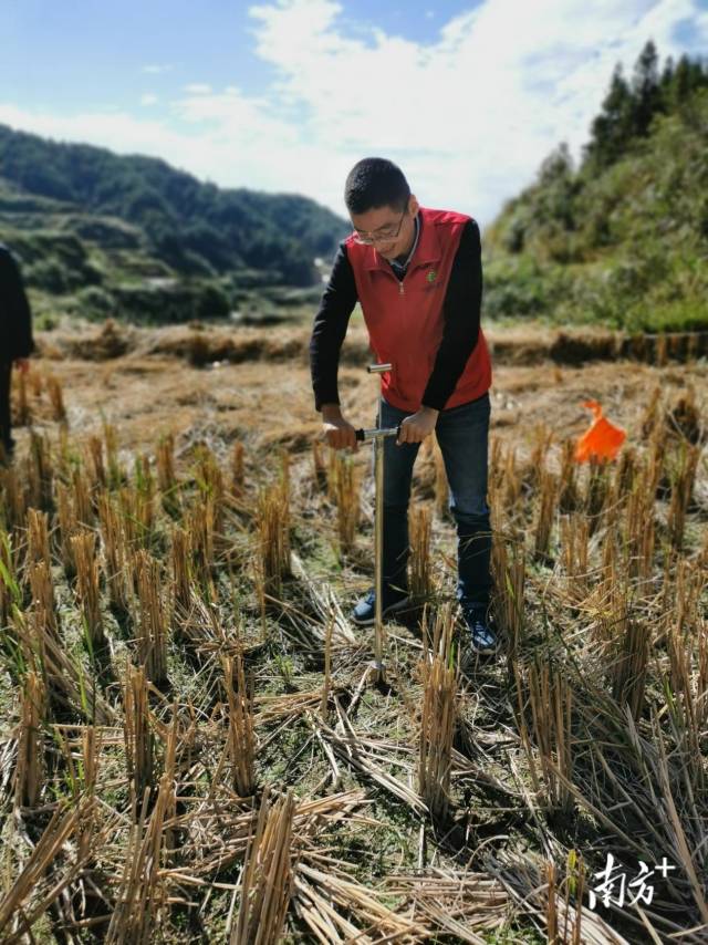 技術(shù)人員深入田間地頭開展土壤取樣、分析。通訊員供圖