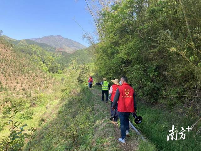 巡山。