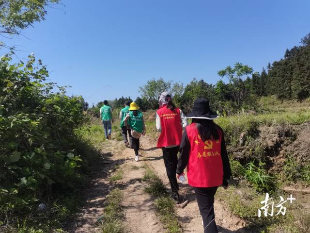 豐陽鎮(zhèn)的440余名黨群志愿者堅守先鋒崗，守護豐陽的綠水青山。
