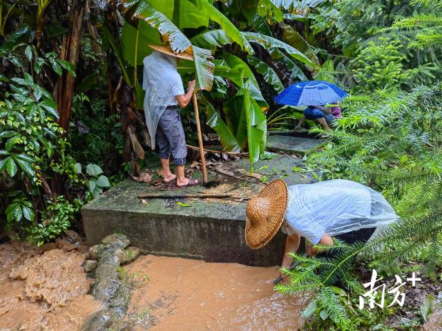 為保障陂嶺近三分之二村民用水，陂嶺村新老干部冒雨前往水源點(diǎn)解決集中供水問題。