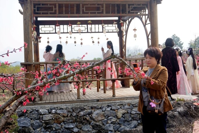 桃花節(jié)在九陂鎮(zhèn)開幕，迎來八方游客。清遠(yuǎn)日?qǐng)?bào)記者 周璐攝。