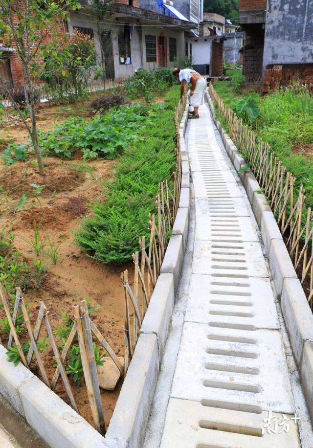 50個自然村建有污水處理系統(tǒng)。記者黃津 攝