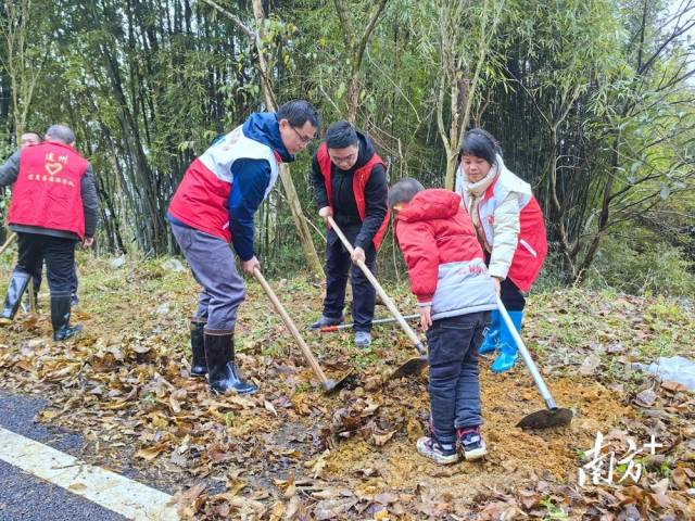 植樹現(xiàn)場。