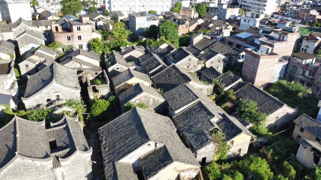 墨色豐陽(1).jpg