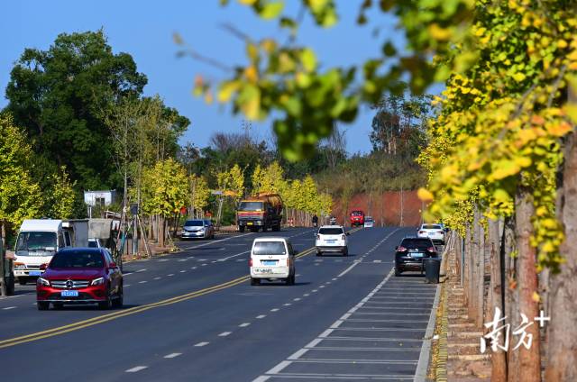連州近5年累計投入20億元優(yōu)化升級交通設施。黃津 攝