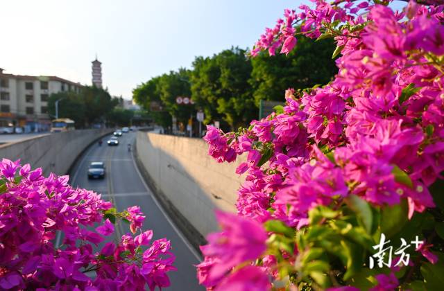 連州織就一張“外聯(lián)內(nèi)暢、城鄉(xiāng)融合”的立體交通藍圖。黃津 攝