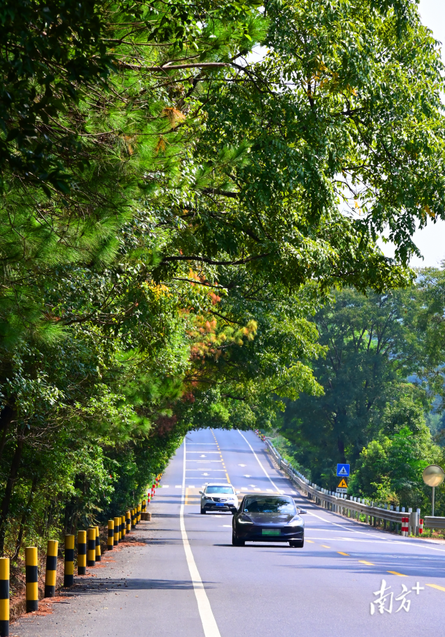 連州“四好農(nóng)村路”省級示范縣創(chuàng)建考核總分排全省第二。黃津 攝