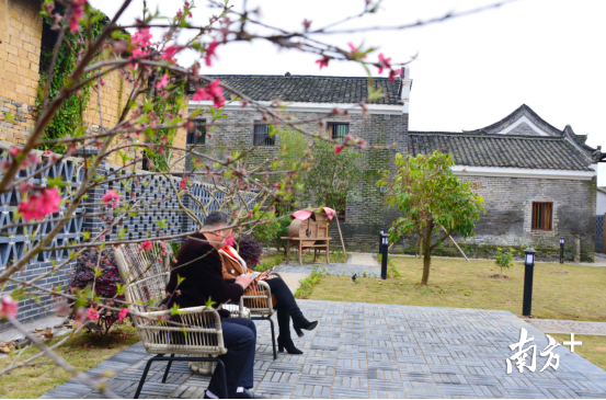 鄉(xiāng)村民宿。黃津 攝