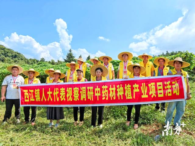 代表們實地調研，為產(chǎn)業(yè)振興培育新動能。 西江鎮(zhèn) 供圖