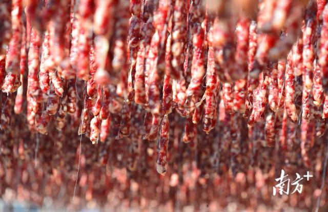 國家地理標(biāo)志保護(hù)產(chǎn)品東陂臘味。黃津 攝