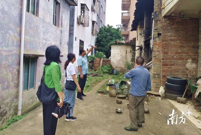 人大代表入戶走訪聽民聲。