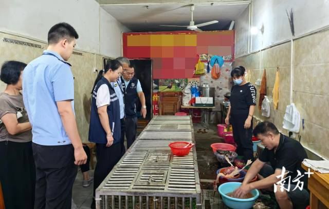 開展聯(lián)合檢查，為鳥類等野生動(dòng)物撐起堅(jiān)實(shí)的“保護(hù)傘”。