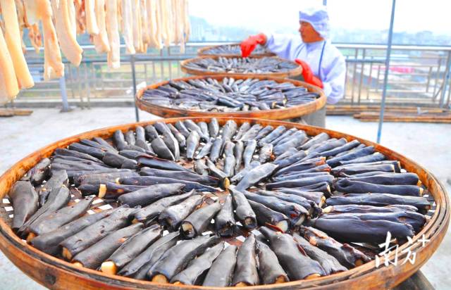 東陂鎮(zhèn)全力把東陂臘味申報(bào)為國家級(jí)非物質(zhì)文化遺產(chǎn)。黃津 攝