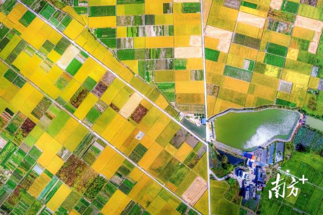 保安鎮(zhèn)立足資源優(yōu)勢(shì)擦亮“富硒小鎮(zhèn)”名片。黃月明 攝