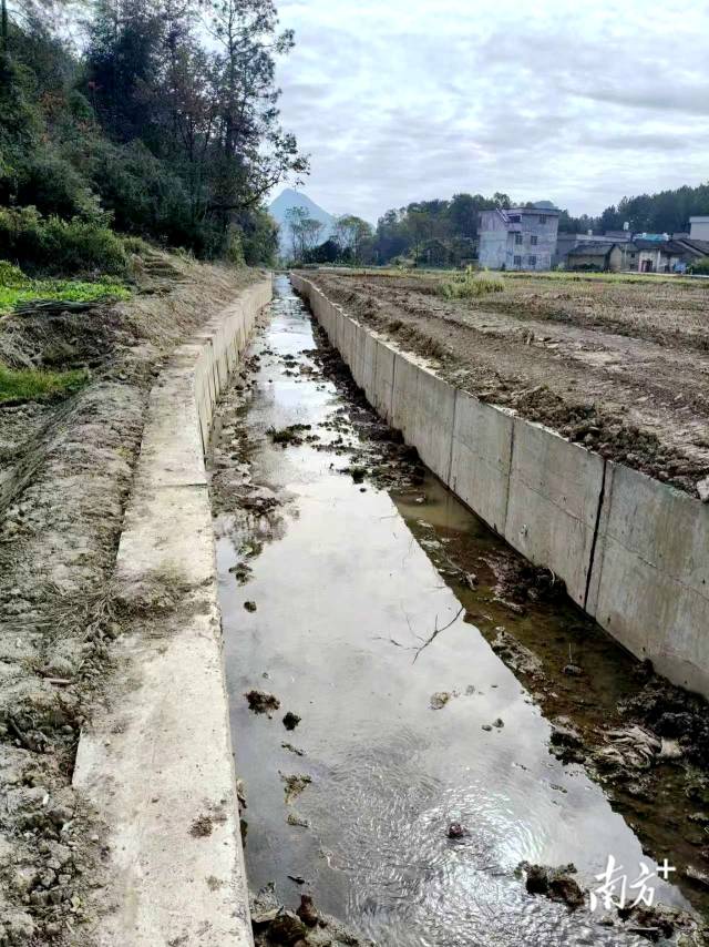 清淤前的渠道。楊鈞著 攝