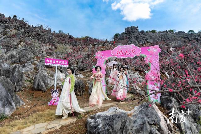 石林桃園依托獨(dú)特地貌打造，還布置了桃花主題打卡點(diǎn)。愛地旅游 供圖