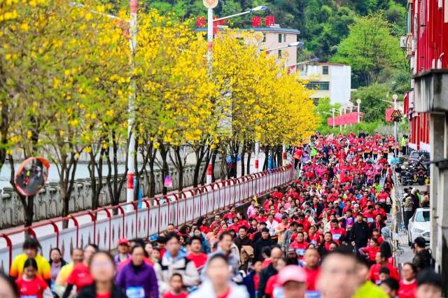 連南半程馬拉松。