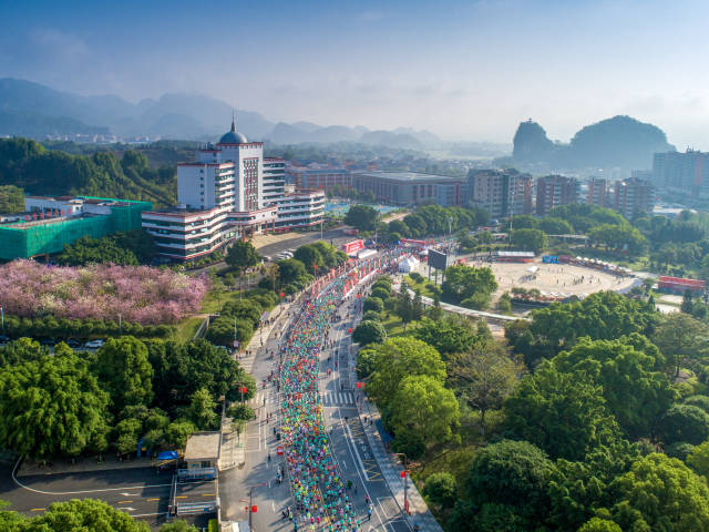 花徑瑤馬，綠美連南。賴文鋒 攝