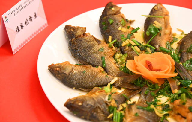 稻香魚。黃津 攝